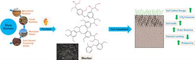 Review of Large-Scale Biochar Field-Trials for Soil Amendment and the Observed Influences on Crop Yield Variations